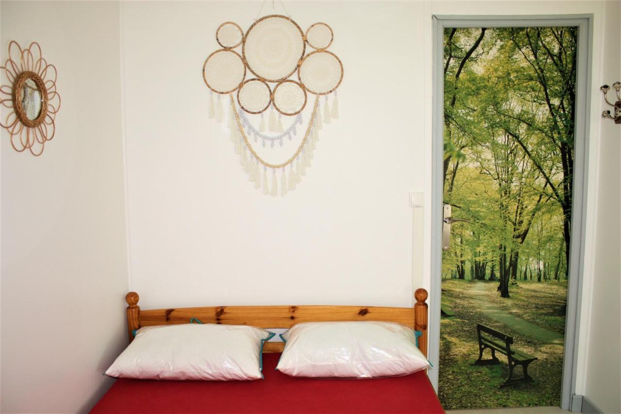 Ribes - Chalet Gite Au Coeur De La Nature Sournia Exteriér fotografie